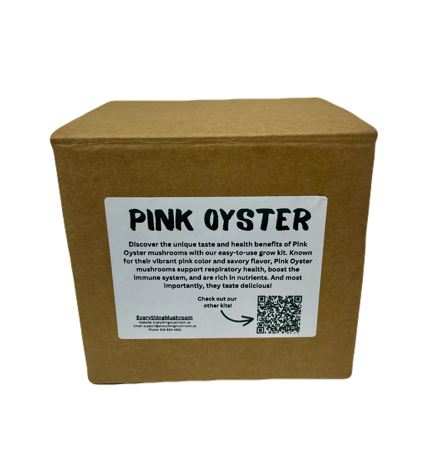 Pink Oyster Mushroom Grow kit - EverythingMushroom