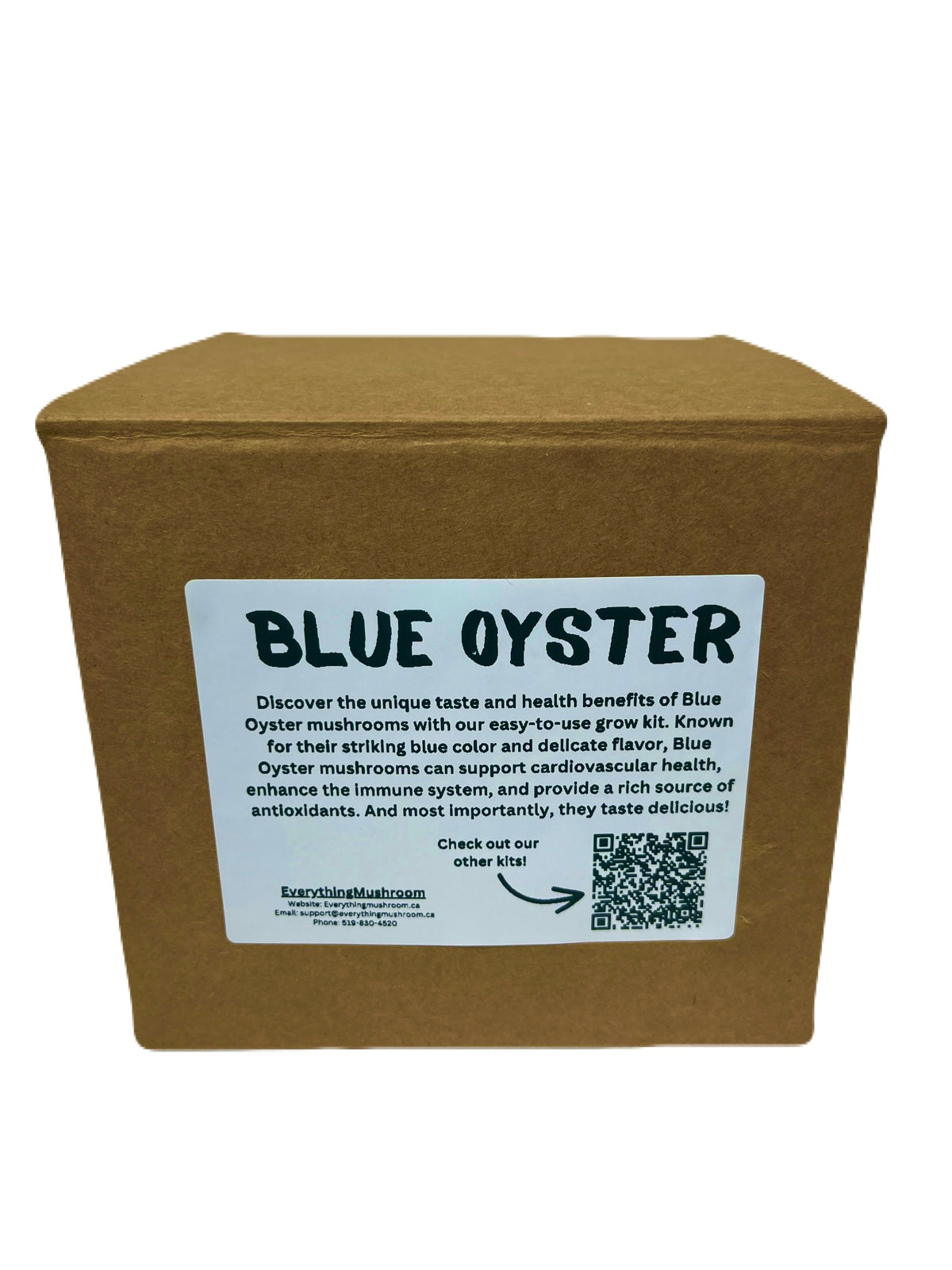 Blue Oyster Mushroom Grow Kit - EverythingMushroom