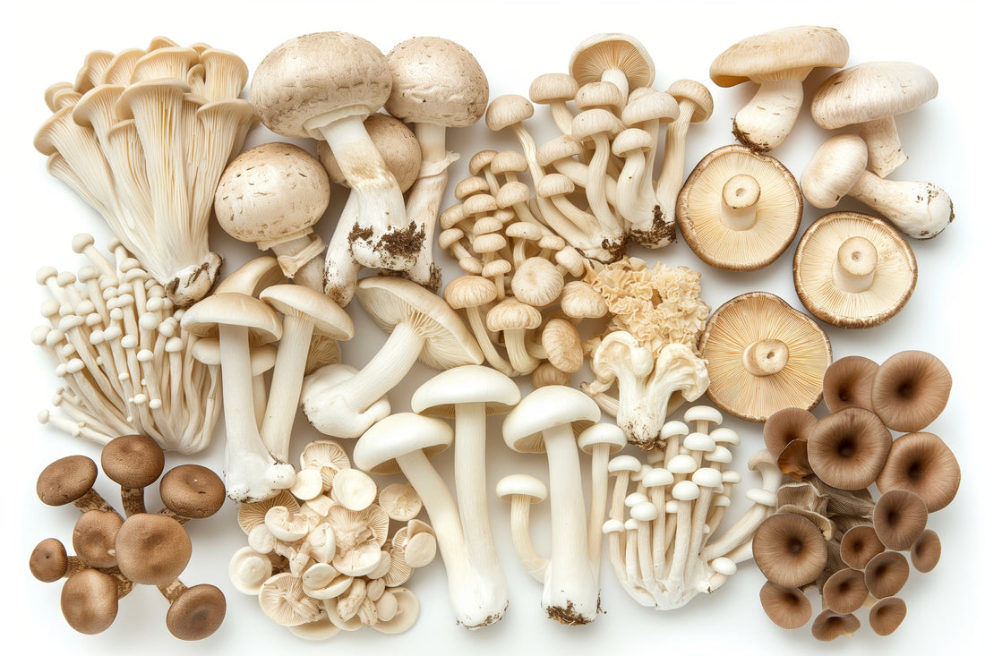 10 Types of Mushrooms and How to Cook With Them