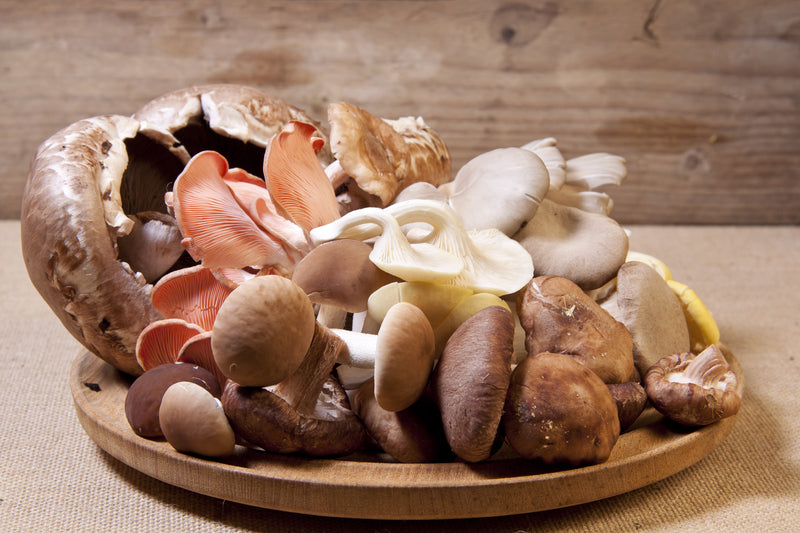 Top 10 Most Popular Mushrooms in the World and Their Uses