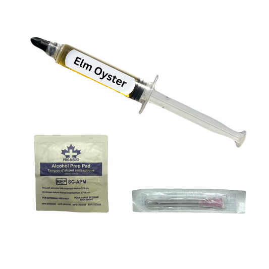 Elm Oyster Mushroom Liquid Culture Syringe