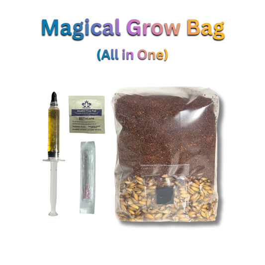 All-In-One Mushroom Grow Bag