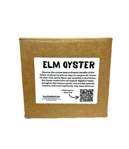 Elm Oyster Mushroom Grow Kit - EverythingMushroom