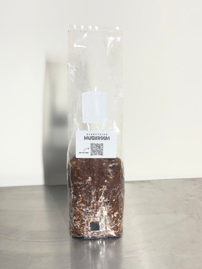 All-In-One Mushroom Grow Bag