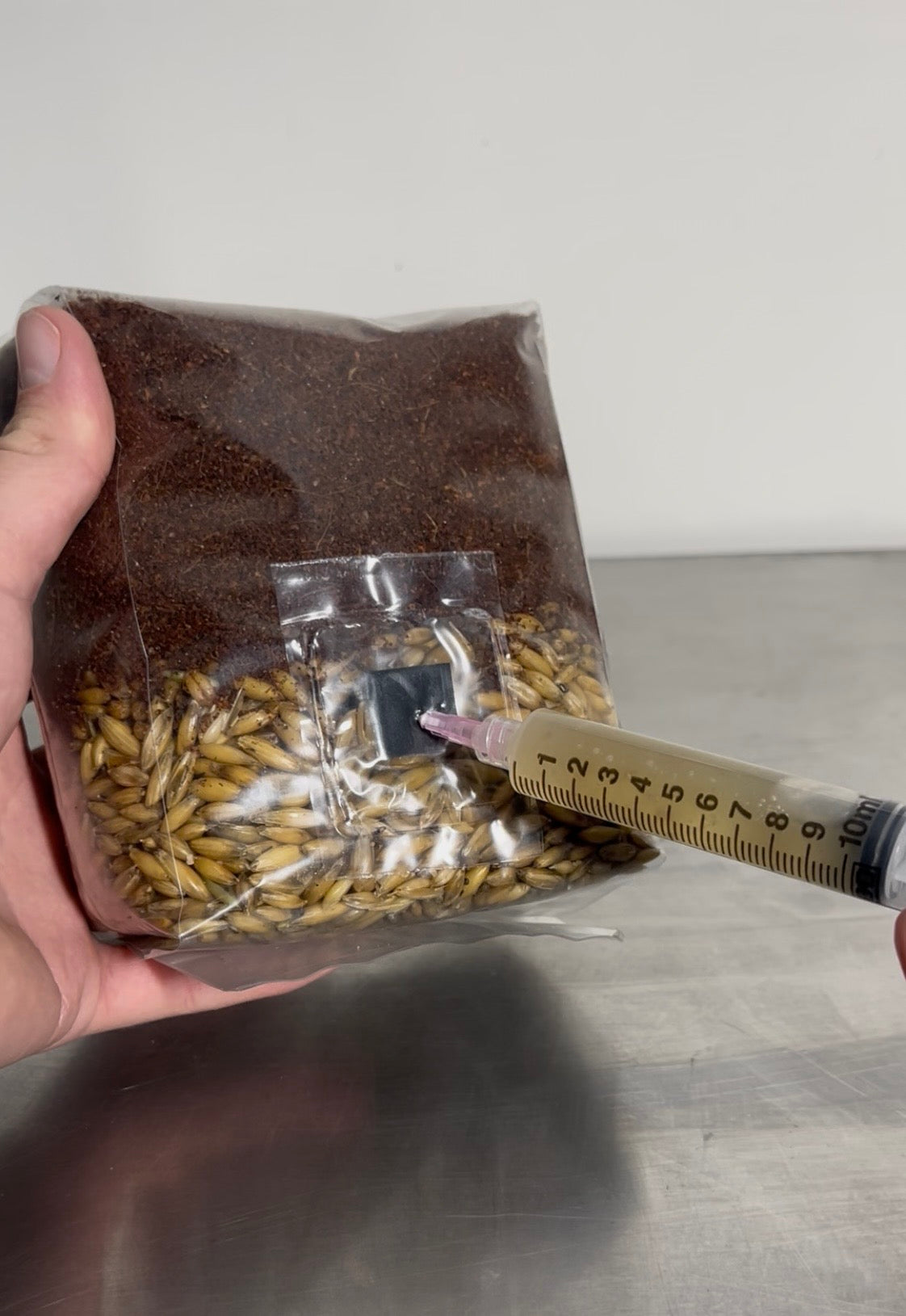 All-In-One Mushroom Grow Bag